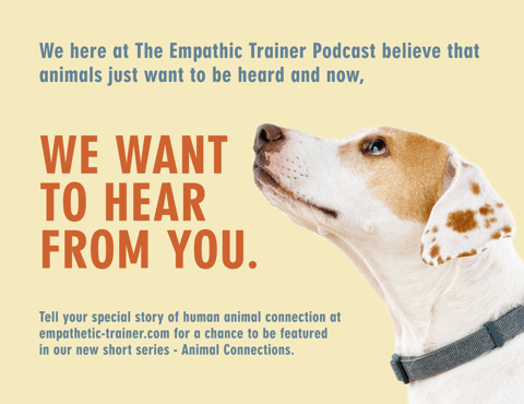 WE WANT TO HEAR FROM YOU