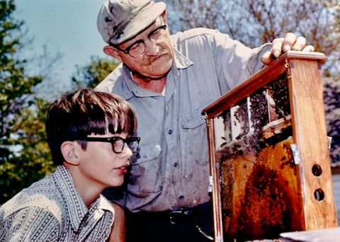 A Plan for a Very Simple Observation Hive