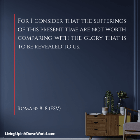 The Daily Grind ☕️ - No Comparison