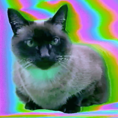 Artist Spotlight: Sarah Zucker, The Sarah Show