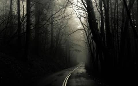 I Was Almost Lured Off The Road To My Death