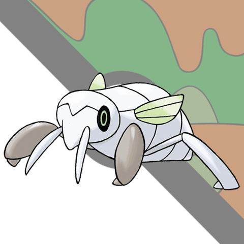 Safari Ball - The Story of Nincada