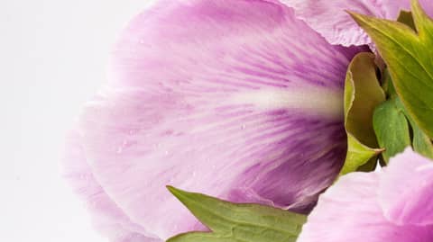 What Does It Mean to Uncover Our Authentic Selves?