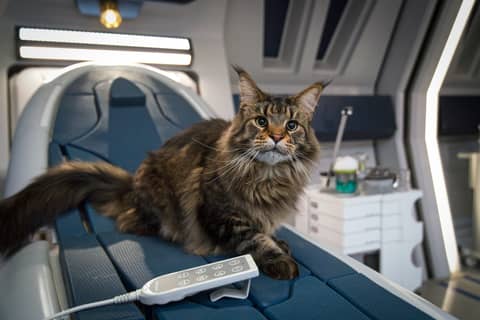 Hunker Down For Some "Stormy Weather" With 25 New Images From Discovery 406