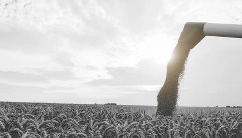 Was bedeutet "Long" oder "Short" gehen?