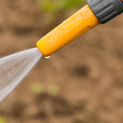 Hosepipe Hydrotherapy