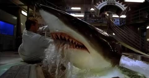 Midweek Mention... Deep Blue Sea