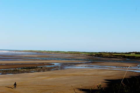 Pandemic’s Grandchild: Part I