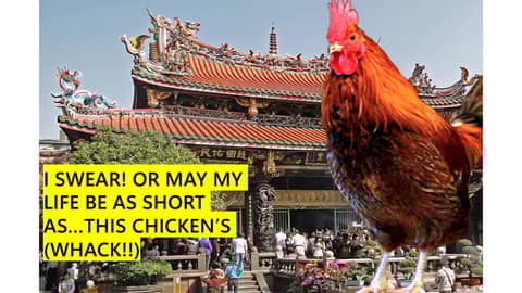 Swearing with Chickens, and other Taiwan Bird Adventures – S5-E31