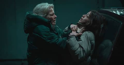 Paradise & Pif and Hercule