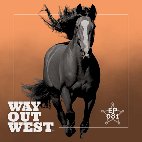 How the Horse Made the American West Possible How the Horse Made the American West Possible