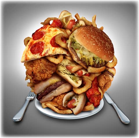 Abysmally Low Nutrients in Fast Food Test Results