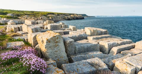 Portland Cement Association's Rebrand