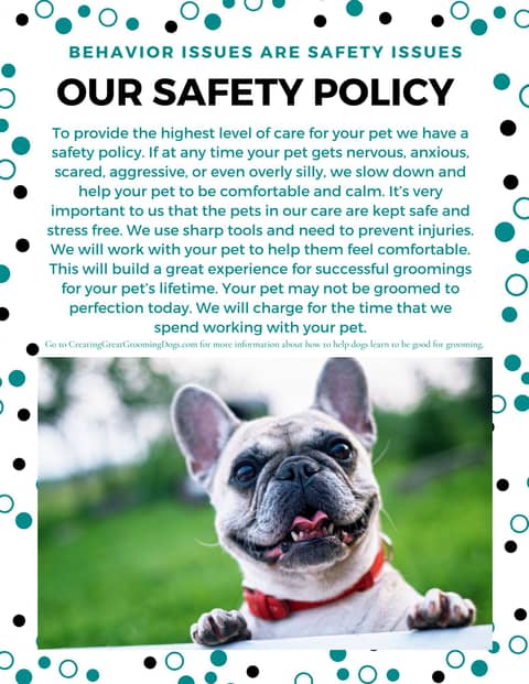 An Example Of A Safety Policy