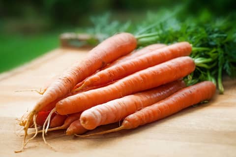Parshas Tetzaveh - Do I Look Like a Carrot?