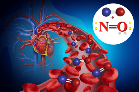 Heart disease severity may depend on nitric oxide levels