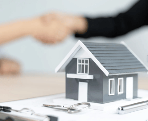 The Housing Muse The Housing Muse