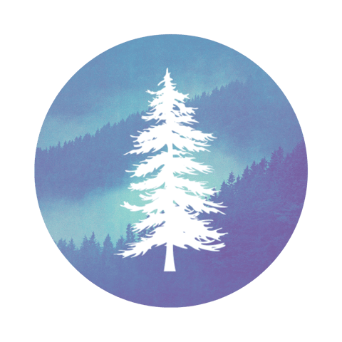 Let's Take This Outside Logo