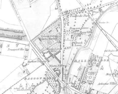 Trinity College & Fred Nutty