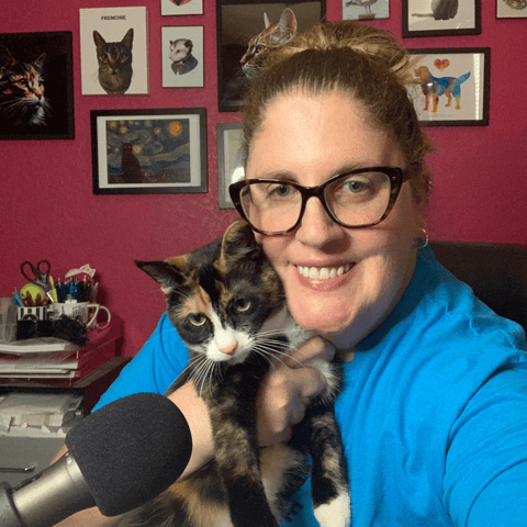 How You Can Prepare to Foster Kittens in Your Home