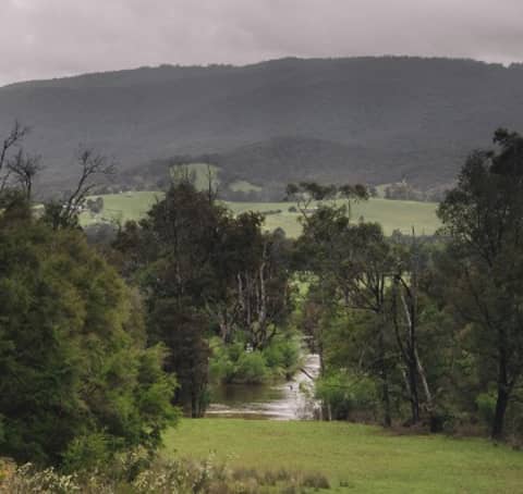 Additional Exploration of Eden