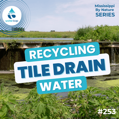Recycling Tile Drain Water: How Farmers Can Reduce Runoff