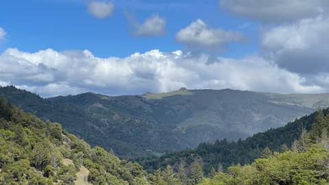 June Newsletter - How to deal with setbacks & using mindfulness for better sleep