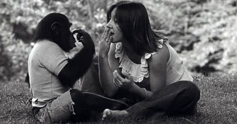 Midweek Mention... Project Nim