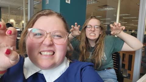 What Makes Bears So Great?