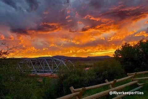 Hatch-Driven Dry Fly Fishing: Why Timing Is Everything in the American West