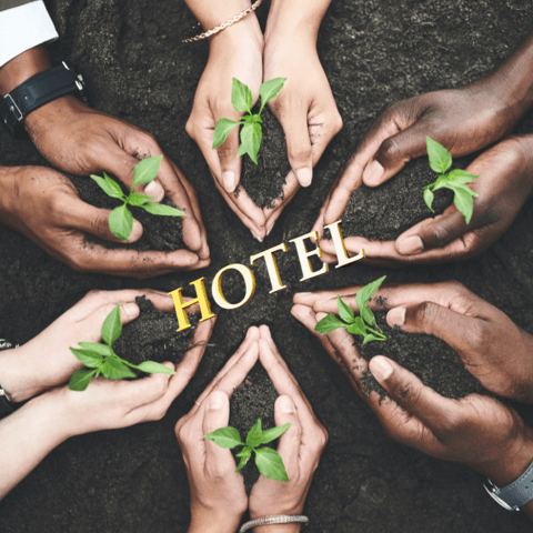 Sustainable Hospitality: Strategies to Reduce Waste and Conserve Resources
