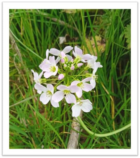 The Dusts of Winter (Spring Cleaning)