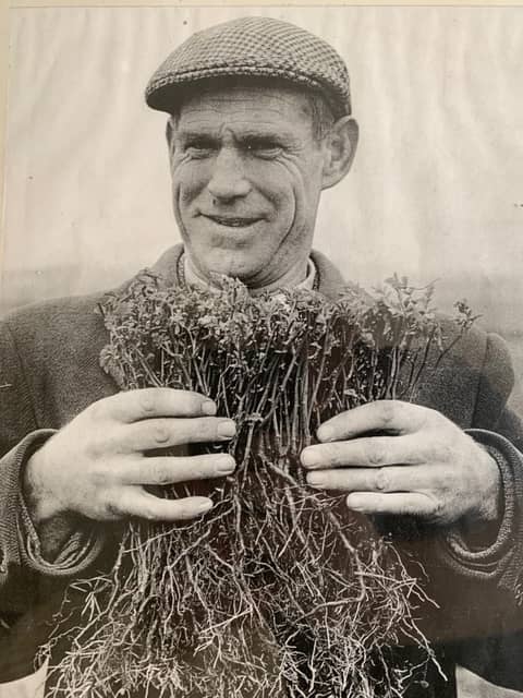 New Episode Drops October 11th!