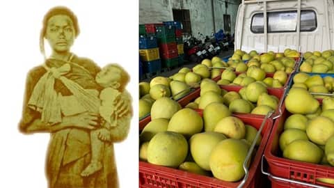 S3-E4 - Madou, Tainan 麻豆: Pomelos and Priestesses