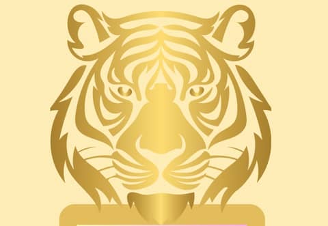 Roaring into the Unknown: Embracing Bold Career Moves in Midlife