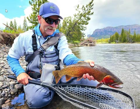 Deep into the Thorofare in Yellowstone National Park with Paul Weamer