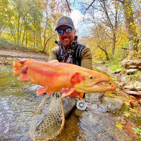 Hidden Gems of West Virginia with Curtis Fleming
