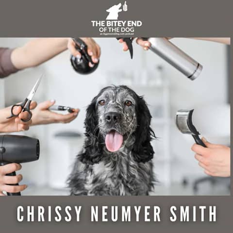 Guest Appearance on ‘The Bitey End Of The Dog’ Podcast with Michael Shikashio!