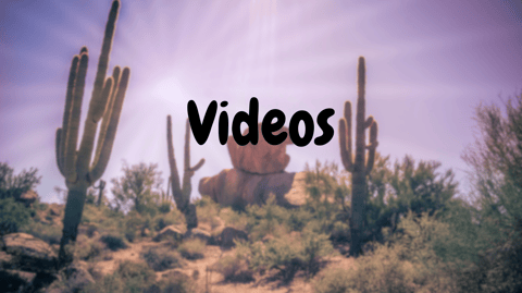 Tohono O'odham Young Voices