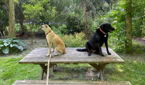 The Best Rural & Regional Podcasts