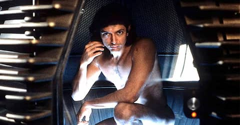 Midweek Mention... The Fly