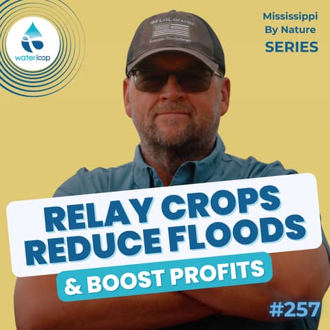 How Relay Crops Reduce Floods And Boost Farm Profits