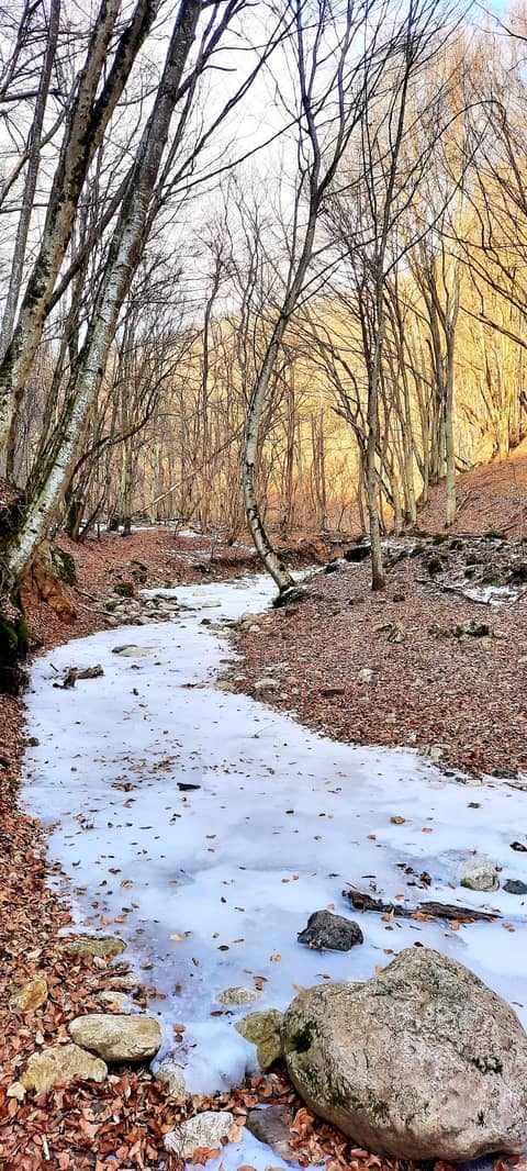 Postul și cumpătarea