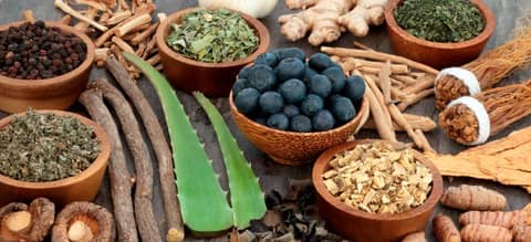 Adaptogens: Top 9 Adaptogenic Herbs for Stress & More