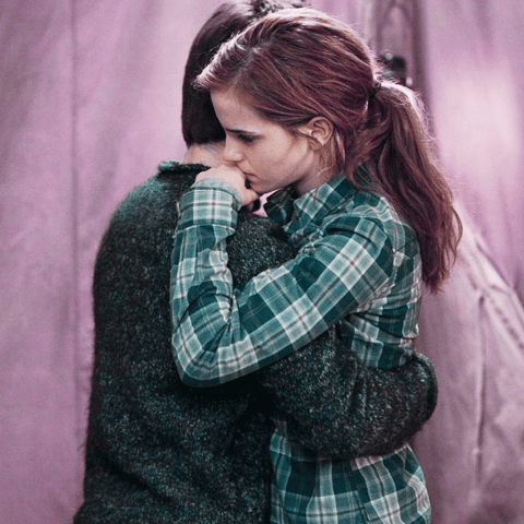 Scrappy Doo: Harry Potter and the Deathly Hallows, Part 1 (The Movie)