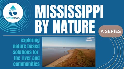Mississippi By Nature: A Series