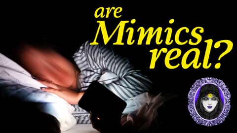 Are Mimics Real?