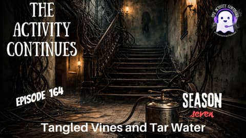 When History Becomes the Haunting