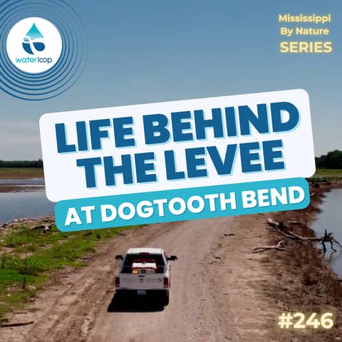 Life Behind The Levee At Dogooth Bend | Episode 246