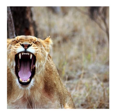 How do you handle your anger?